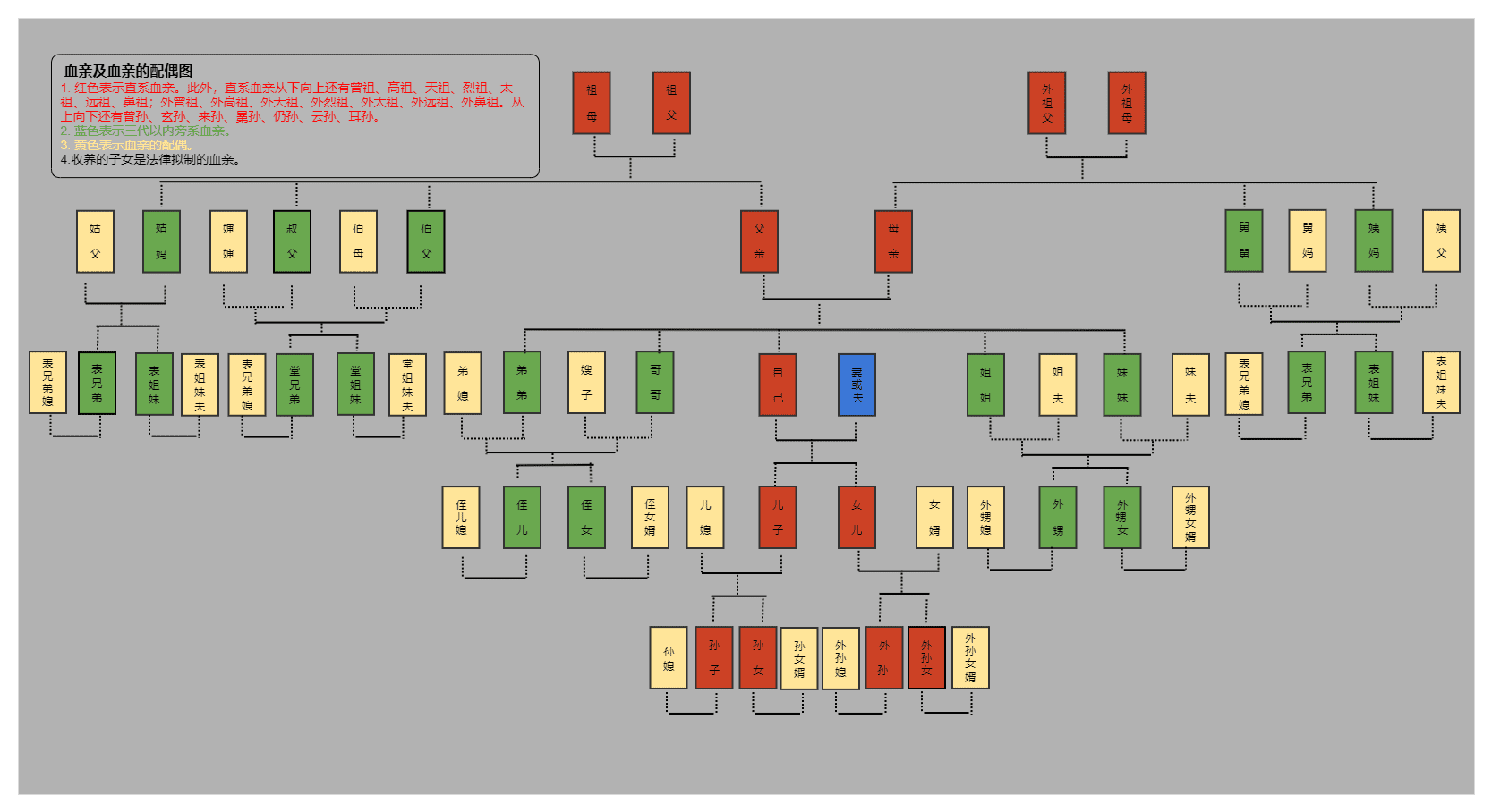 三代旁系血亲关系图图片